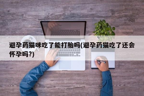米非米索怎么买避孕药猫咪吃了能打胎吗(避孕药猫吃了还会怀孕吗?)
